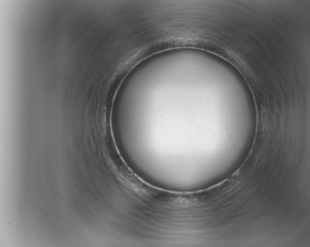 X0000080130494200612302040