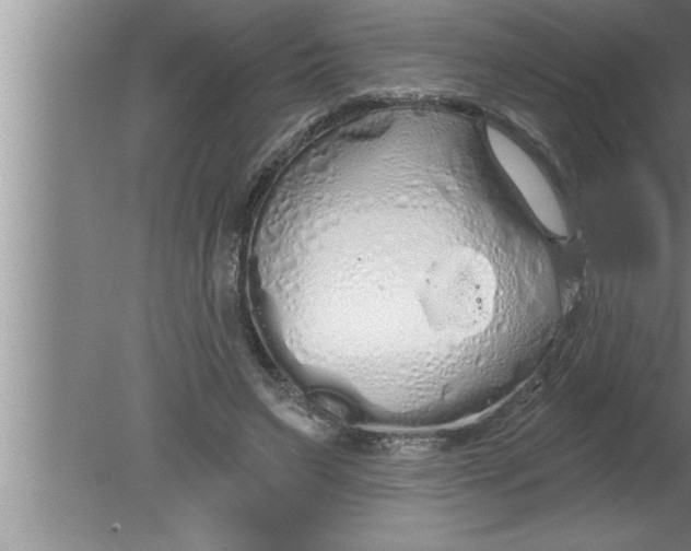 X0000080130495200612302040