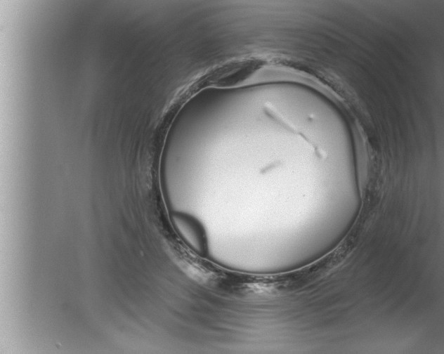 X0000080130496200612302040