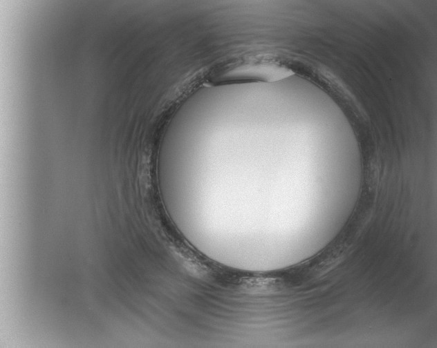 X0000080130497200612302040