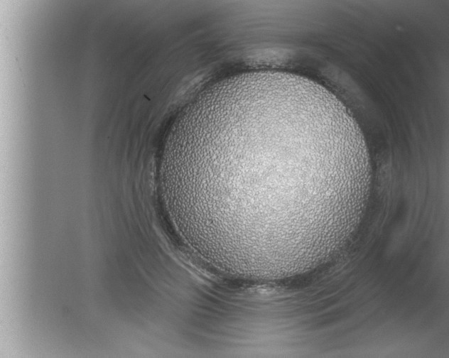 X0000080130498200612302040