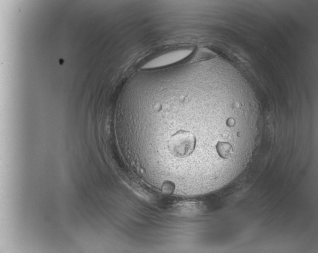 X0000080130499200612302040