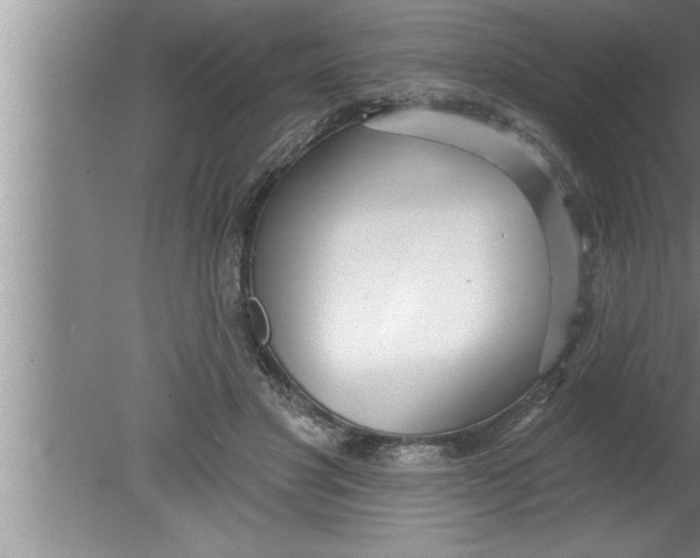 X0000080130501200612302040