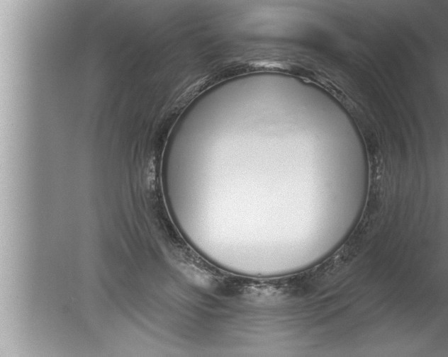 X0000080130502200612302040