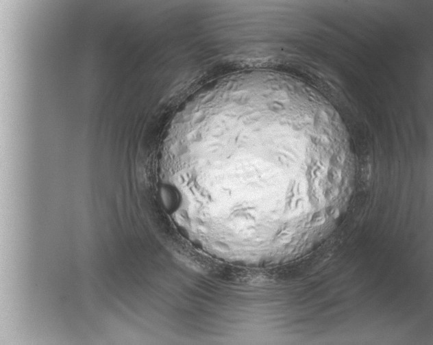 X0000080130503200612302040