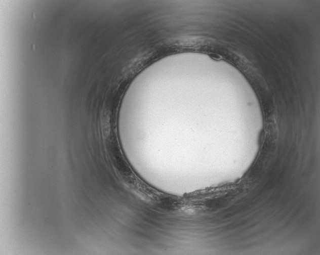 X0000080130504200612302039