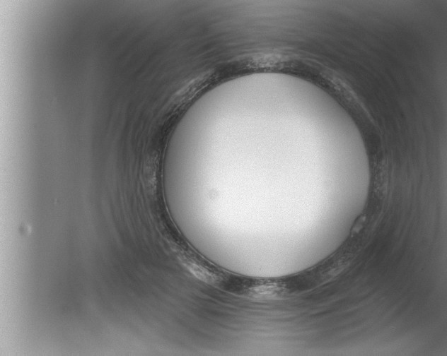 X0000080130505200612302039