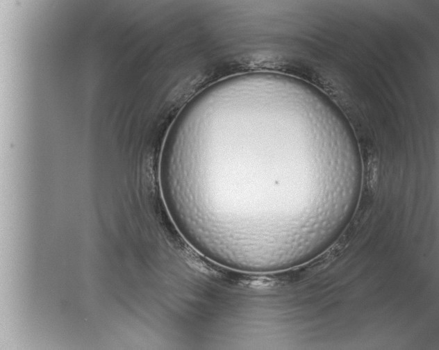 X0000080130506200612302039