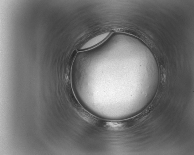 X0000080130507200612302039