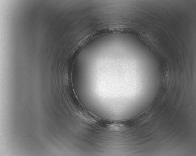 X0000080130508200612302039