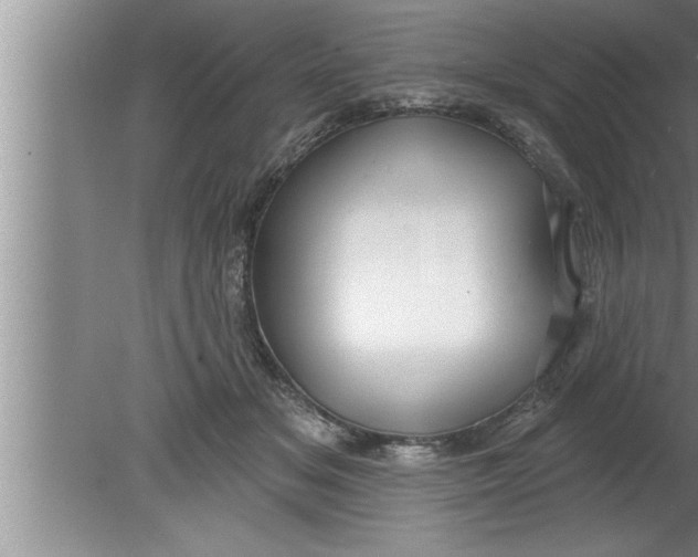 X0000080130509200612302039