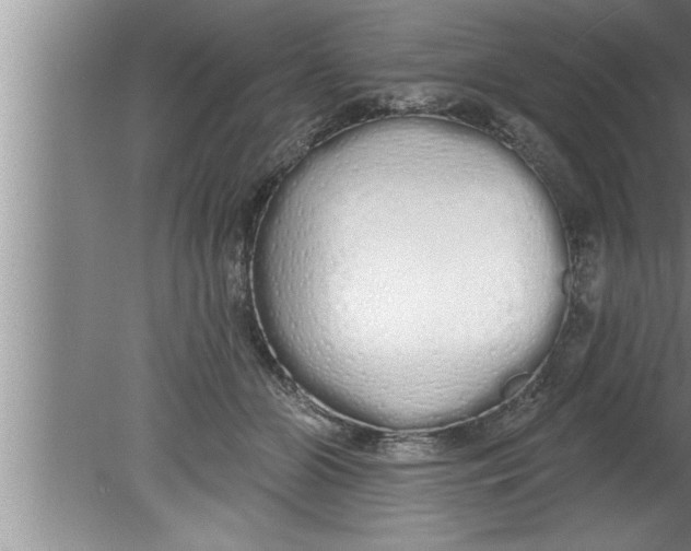 X0000080130510200612302039