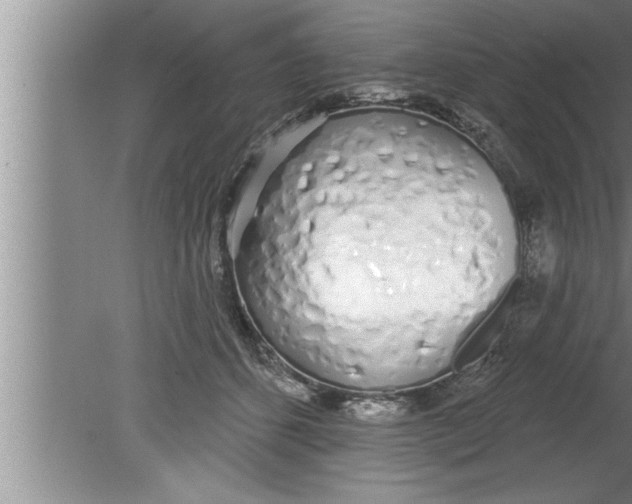 X0000080130512200612302039