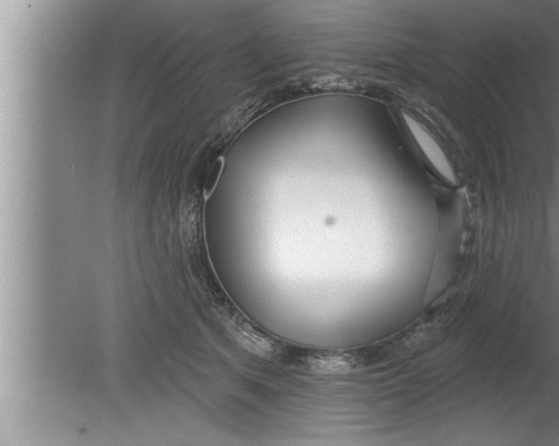 X0000080130513200612302039