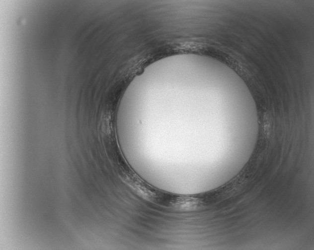 X0000080130514200612302039