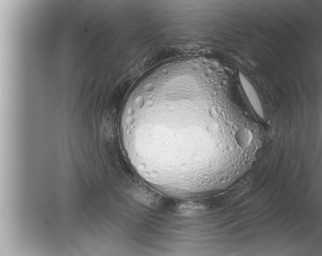 X0000080130515200612302039