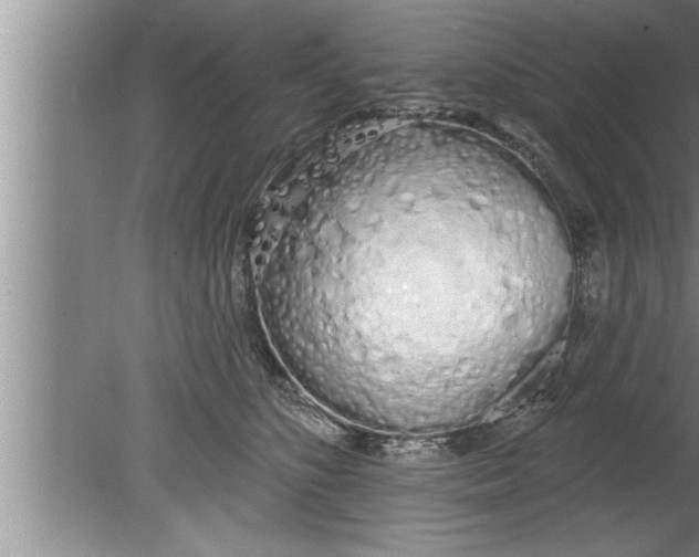 X0000080130516200612302039