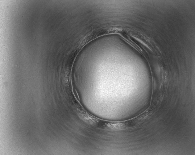 X0000080130517200612302039