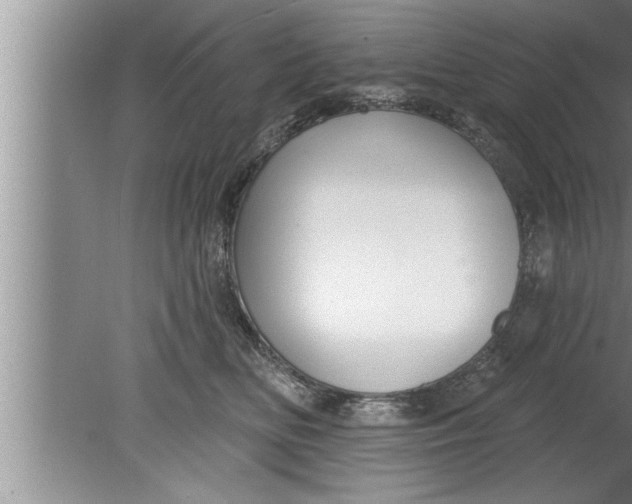 X0000080130518200612302039