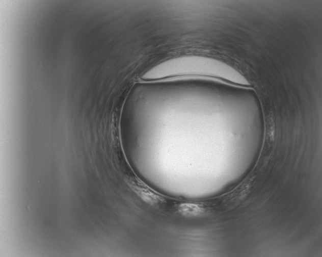 X0000080130519200612302039