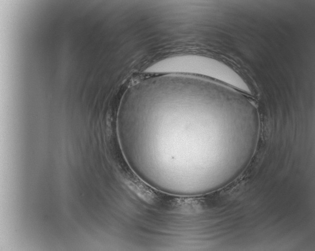 X0000080130520200612302039