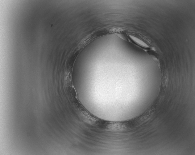 X0000080130521200612302039