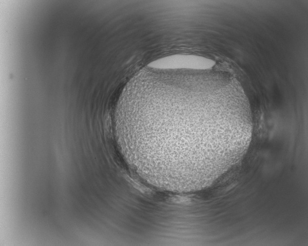 X0000080130523200612302039