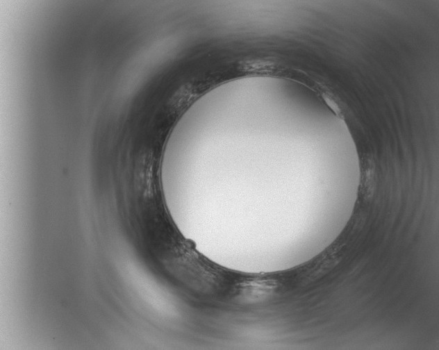 X0000080130525200612302039