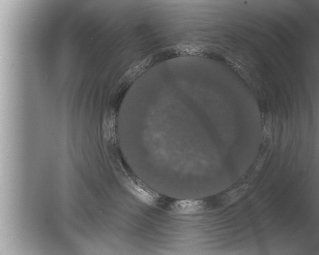 X0000080130526200612302039