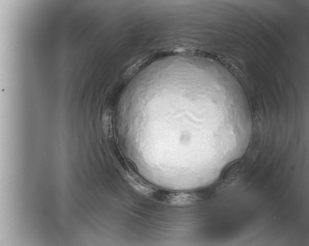 X0000080130527200612302039