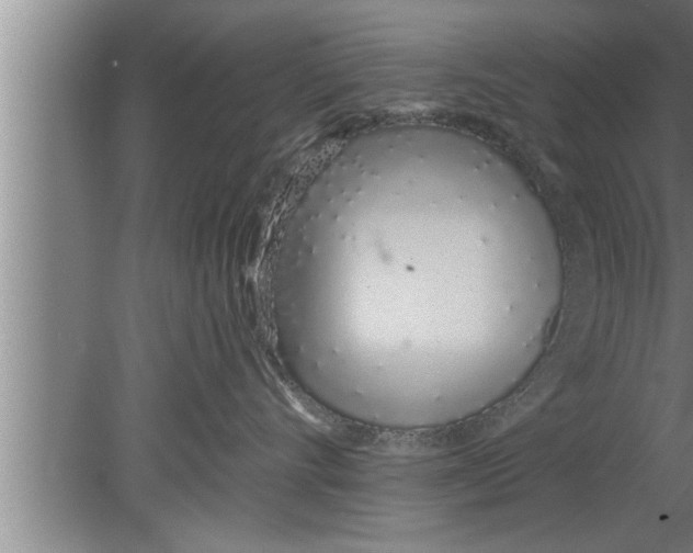 X0000080130528200612302039