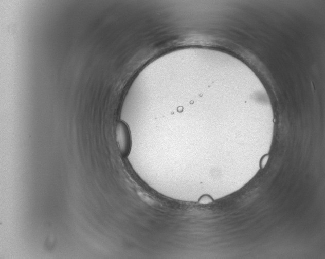 X0000080130529200612302038