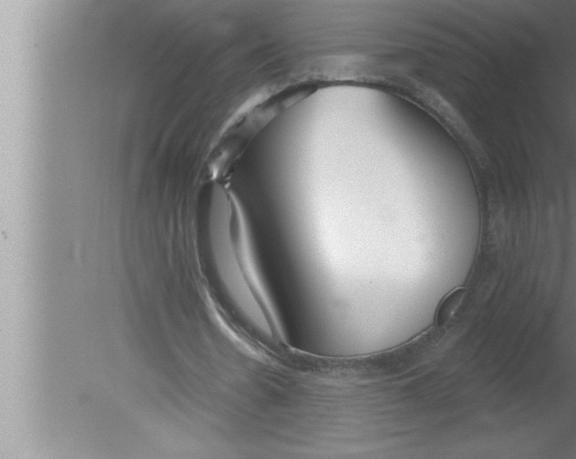 X0000080130530200612302038