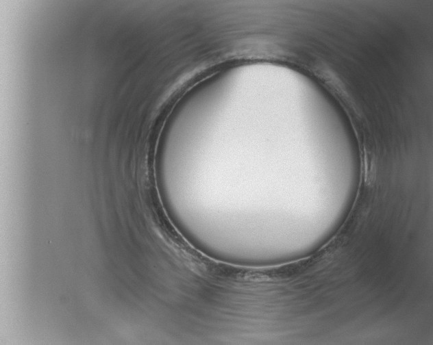 X0000080130531200612302038