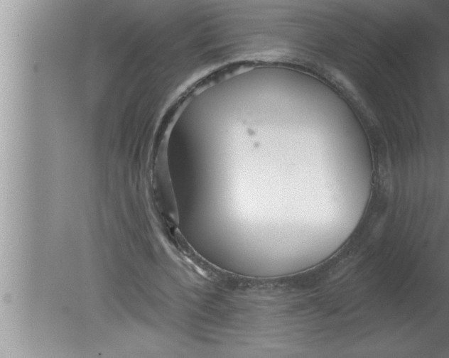 X0000080130532200612302038