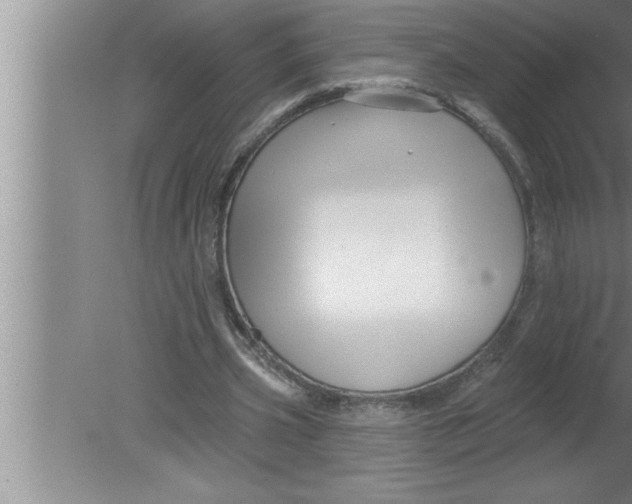 X0000080130533200612302038