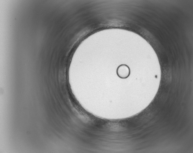 X0000080130534200612302038