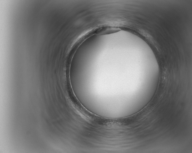 X0000080130535200612302038