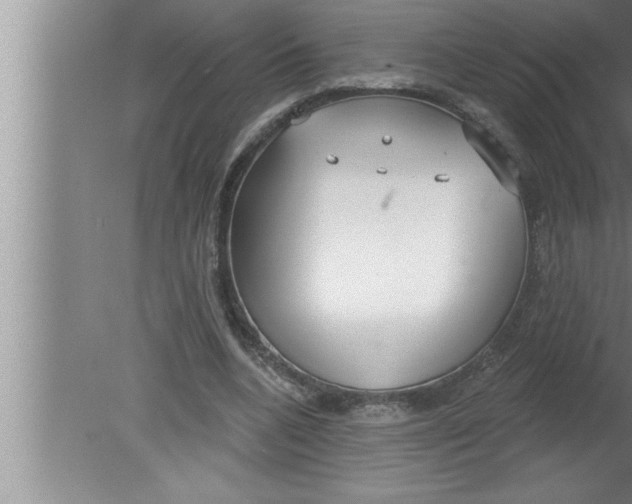 X0000080130536200612302038