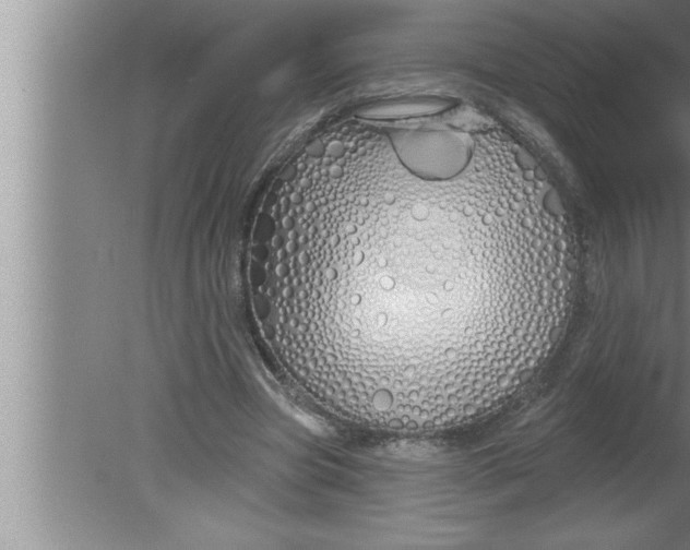 X0000080130537200612302038