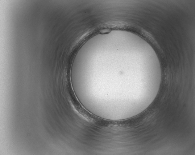 X0000080130538200612302038