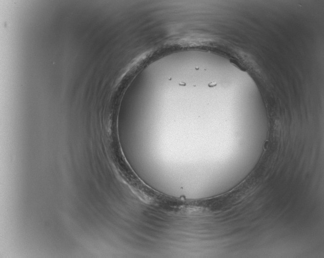 X0000080130539200612302038