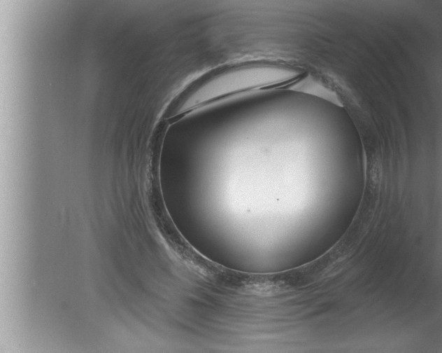 X0000080130540200612302038