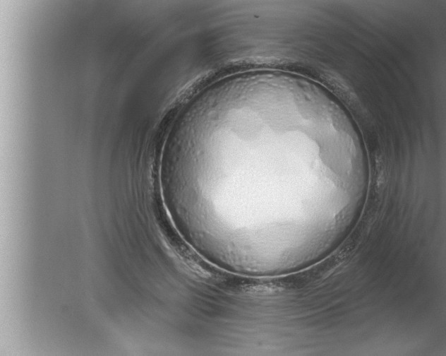 X0000080130542200612302038