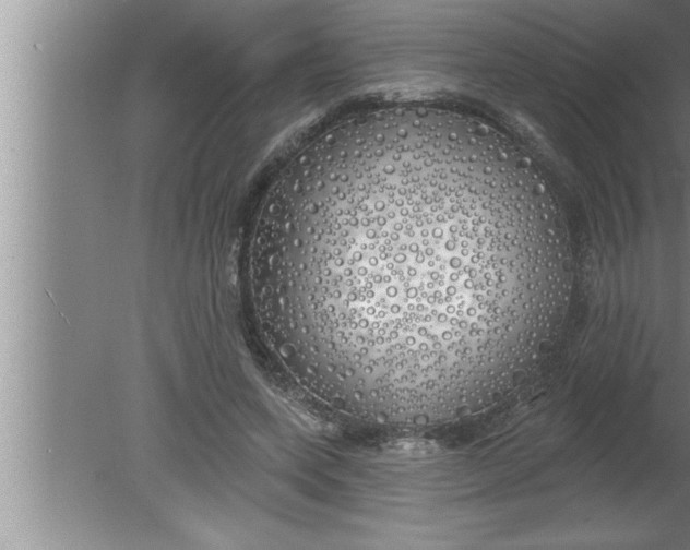 X0000080130543200612302039