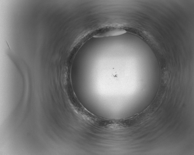 X0000080130544200612302039