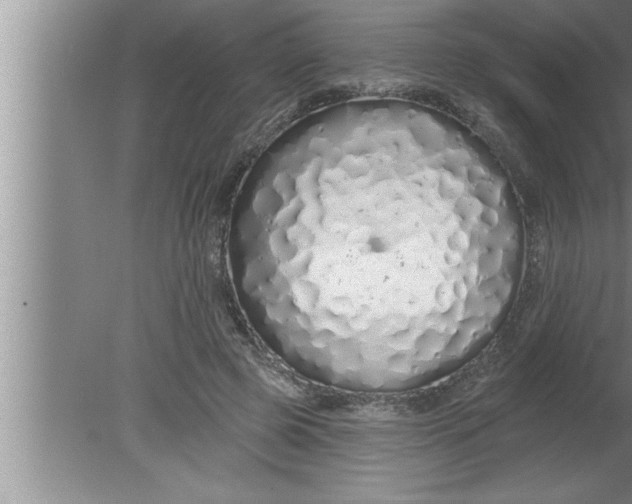 X0000080130545200612302039