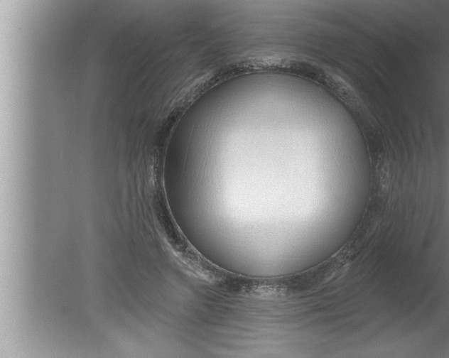 X0000080130546200612302039