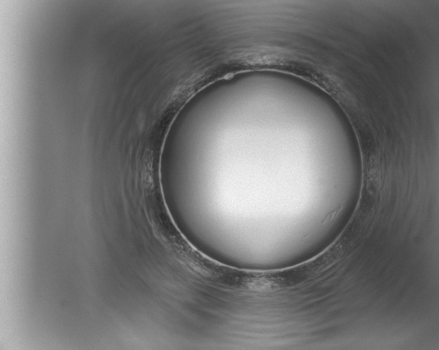 X0000080130547200612302039