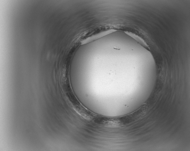 X0000080130548200612302039